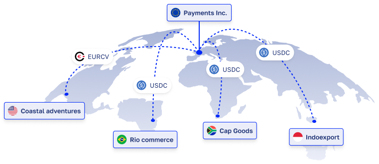 PSP stablecoin payment